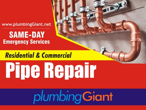 Comprehensive solution for Puget Sound detecting leaks in WA near 98416