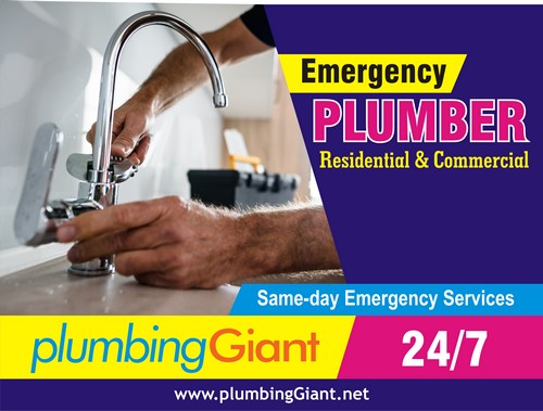 Efficient team for Western Washington detecting leaks in WA near 98001