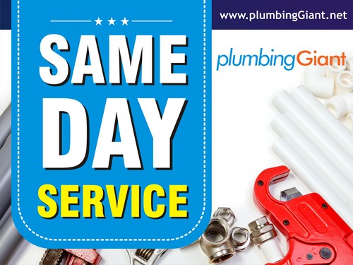 Same Day Puget Sound leak repair in WA near 98416