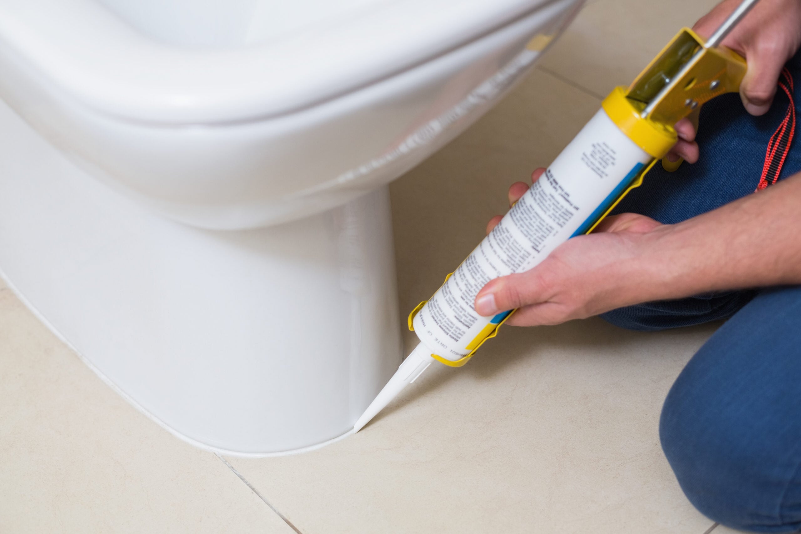 Tacoma Toilet Replacement